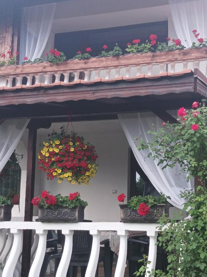 Guesthouse Dida Sapareva Banya Exterior foto